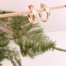 Brinco Argola Tubo banho de ouro
