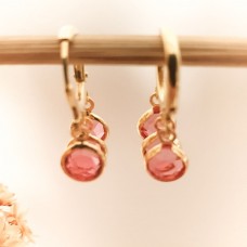 Brinco argolinha com zircônias rosas